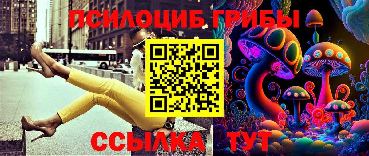 цена наркотик  Псилоцибиновые грибы мухоморы  Вход с VPN  Ростов-на-Дону 